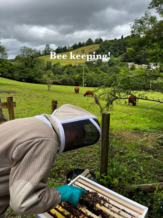 ADH-Bees- my ADHD brain and keeping bees