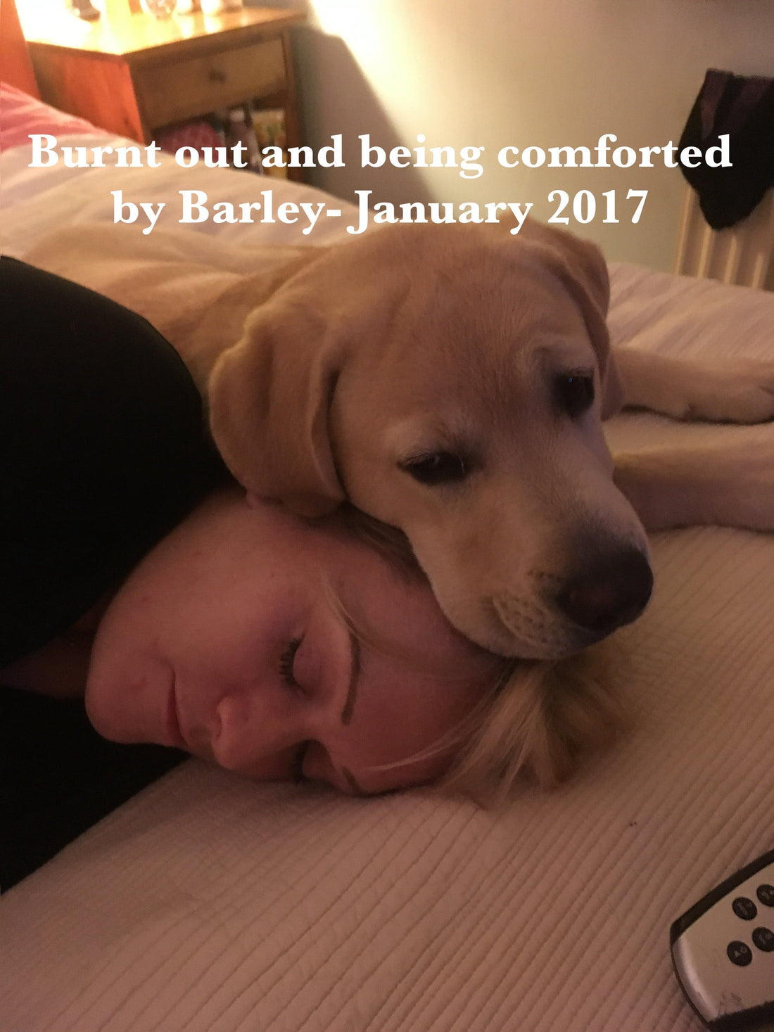 This is a picture of me lying with my head resting on the bed, eyes closed and looking exhausted. Barley, who is a yellow Labrador, is lying next to me with his chin resting on the top of my head. 