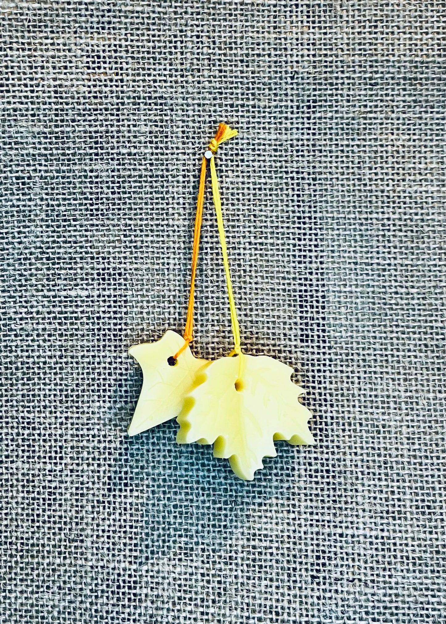 ‘Citrus’ Beeswax Decoration