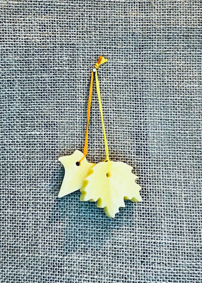 ‘Citrus’ Beeswax Decoration